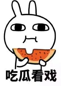 娱乐吃瓜竖屏,吃瓜群众竖屏狂欢，明星幕后故事大曝光！